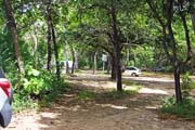 742 - IMG_1584