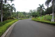 805 - IMG_1626