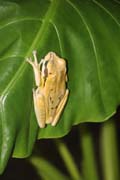 620 IMG_4583