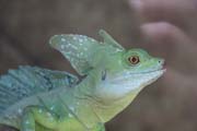 635 IMG_4598