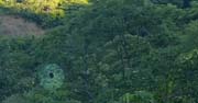 14 - Howler Monkey (highlighted)