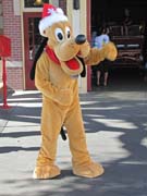 104 - IMG_0140 (2)