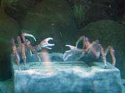 412 - IMG_0203