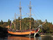 502 - IMG_0217