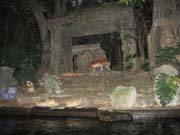 606 - IMG_0243