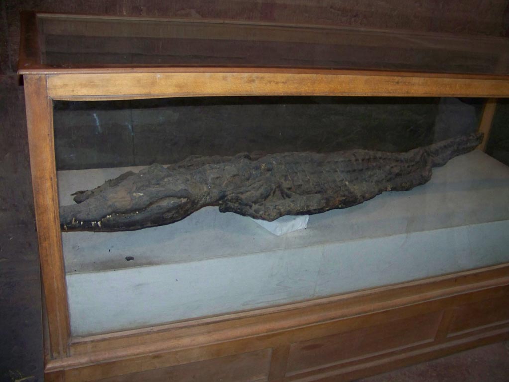 0678 - Egypt 100_3377