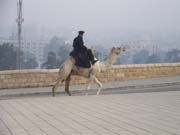 0302 - Egypt - Giza - 100_0633