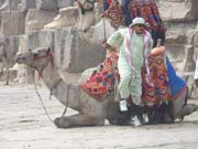 0315 - Egypt - Giza - 100_0670