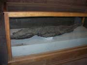 0678 - Egypt 100_3377
