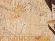 1309 - Egypt - Hatshepsut Temple - 100_3652