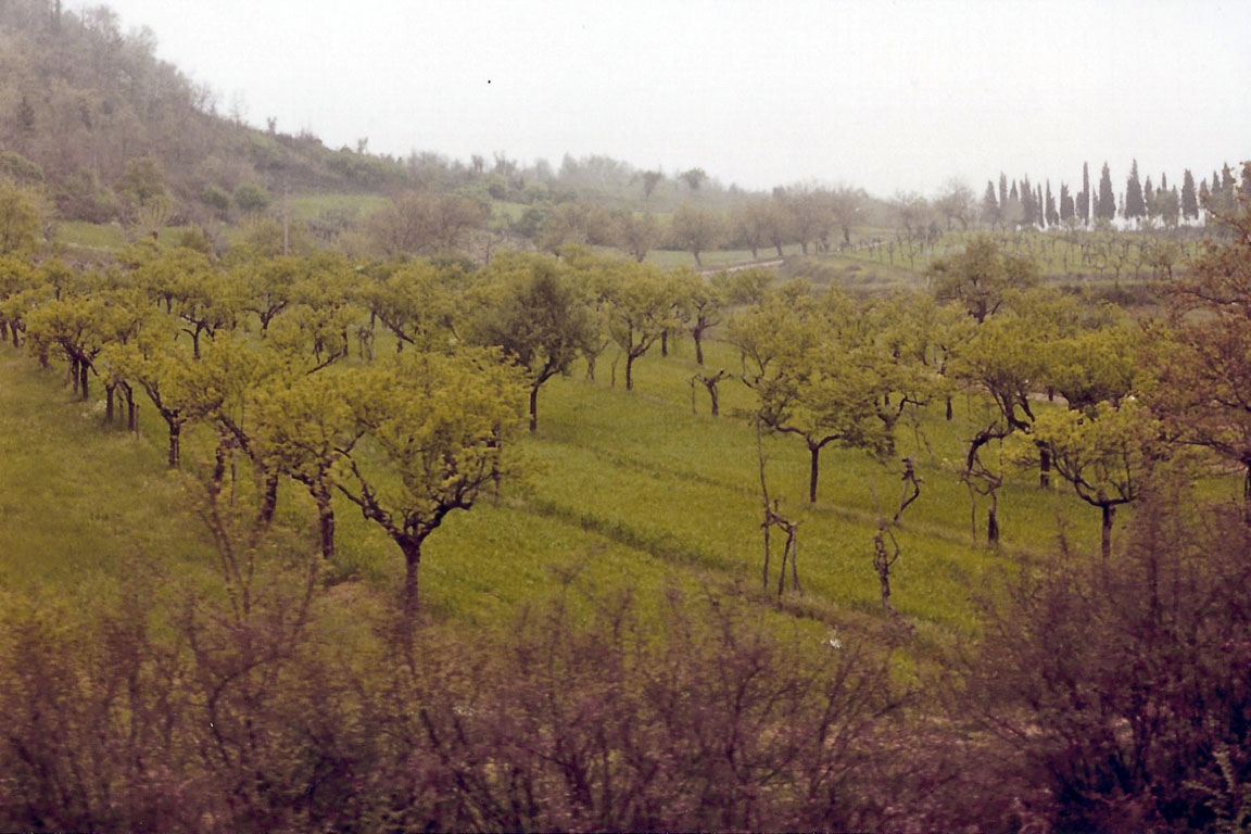 Florence-01