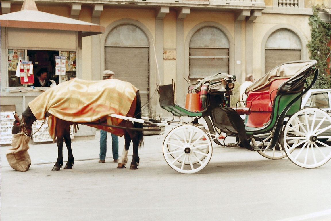 Florence-05