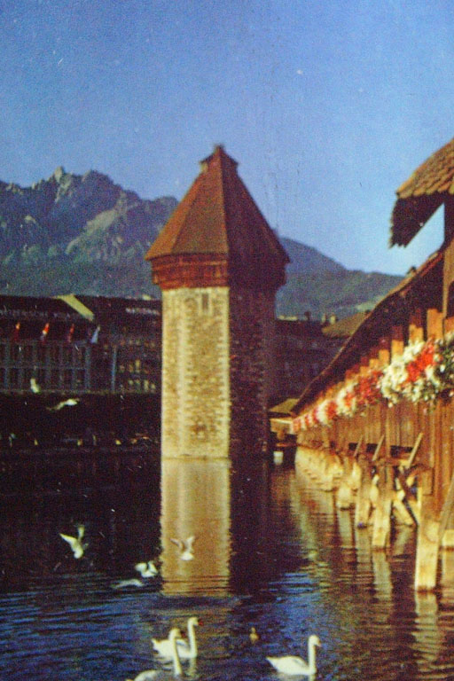 Lucerne-03