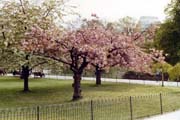 London-42, Saint James Park