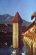 Lucerne-03