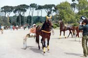 Rome-01, Villa Borghese Park