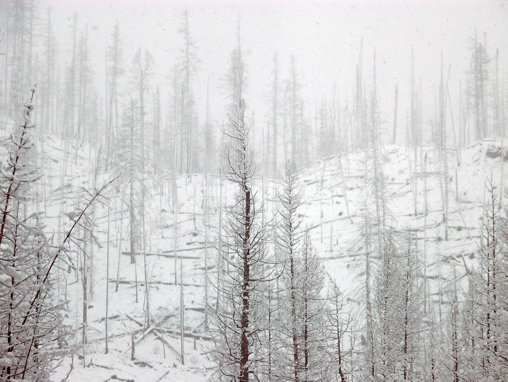 008-Glacier Park 128