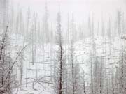 008-Glacier Park 128