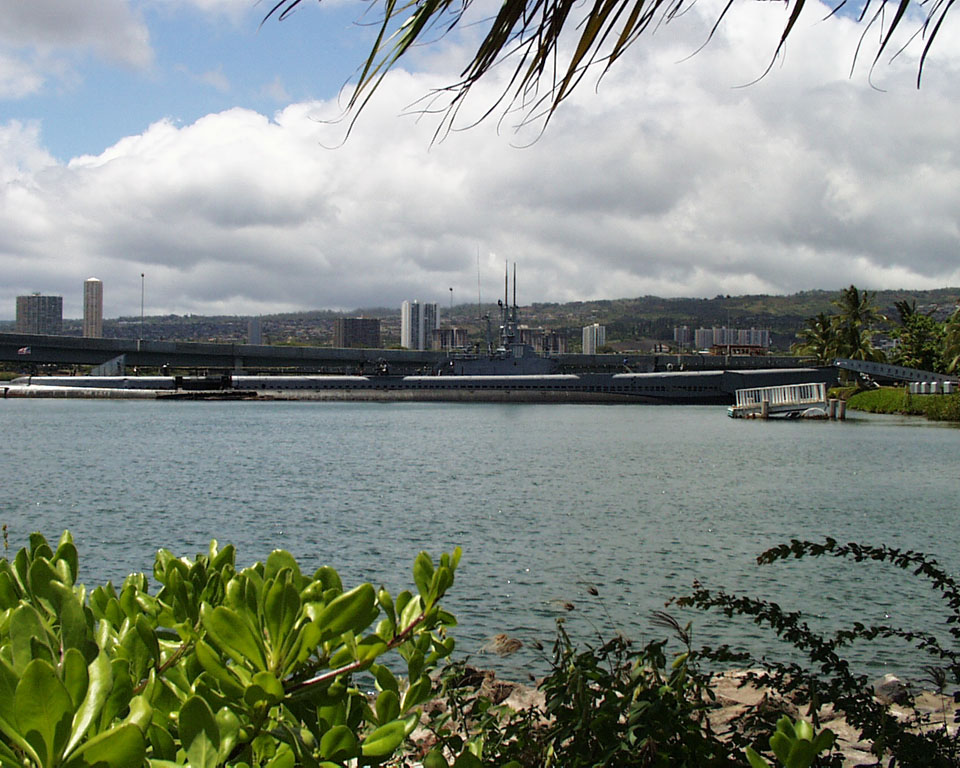 029-PIC00017
