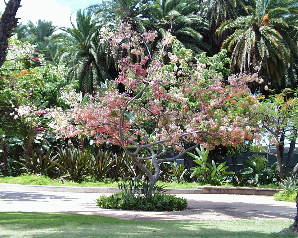 063-PIC00004