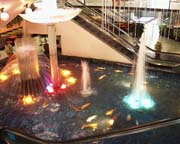020-PIC00008