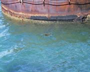 047-PIC00035