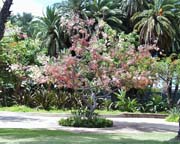 063-PIC00004