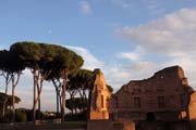 26-Roman Forum IMG_4180