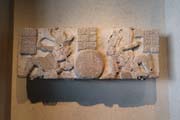 450-NMA-IMG_4037