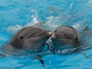 IMG_1234C_016_16
