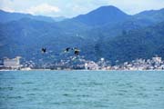 145 - DSCN0162