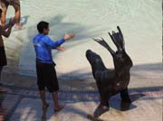 255 - DSCN0121