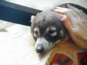 285 - DSCN0189