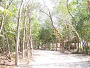 Playa Del Carmen - 3086 (Coba)