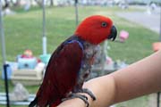IMG_1862
