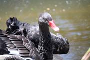 002-b IMG_4644