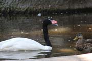 005-b IMG_4680
