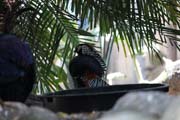 011-b IMG_4712