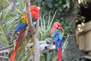 012-b IMG_4668