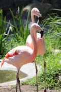013-b IMG_4677