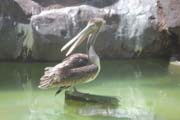 014-b IMG_4808