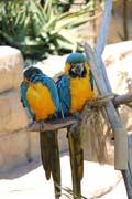 015-b IMG_4818
