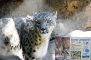 031-l IMG_4698a