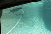039-p IMG_4764