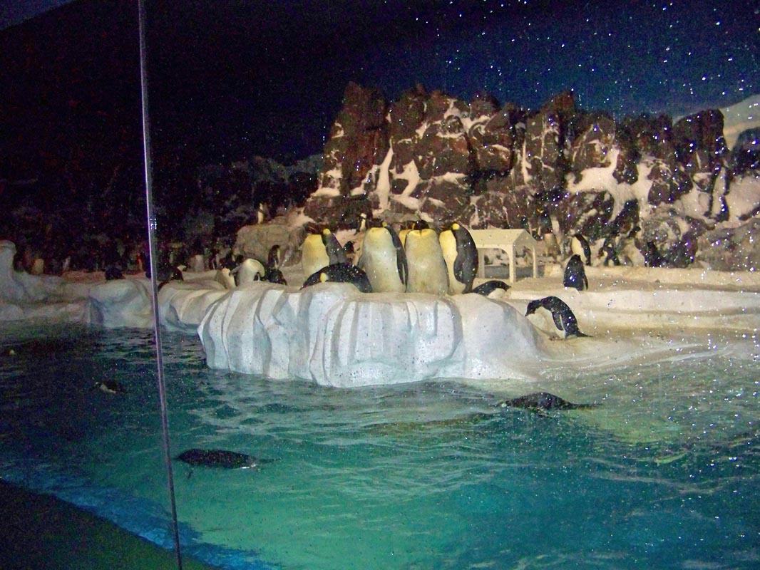 009Seaworld Preston May 2008 041