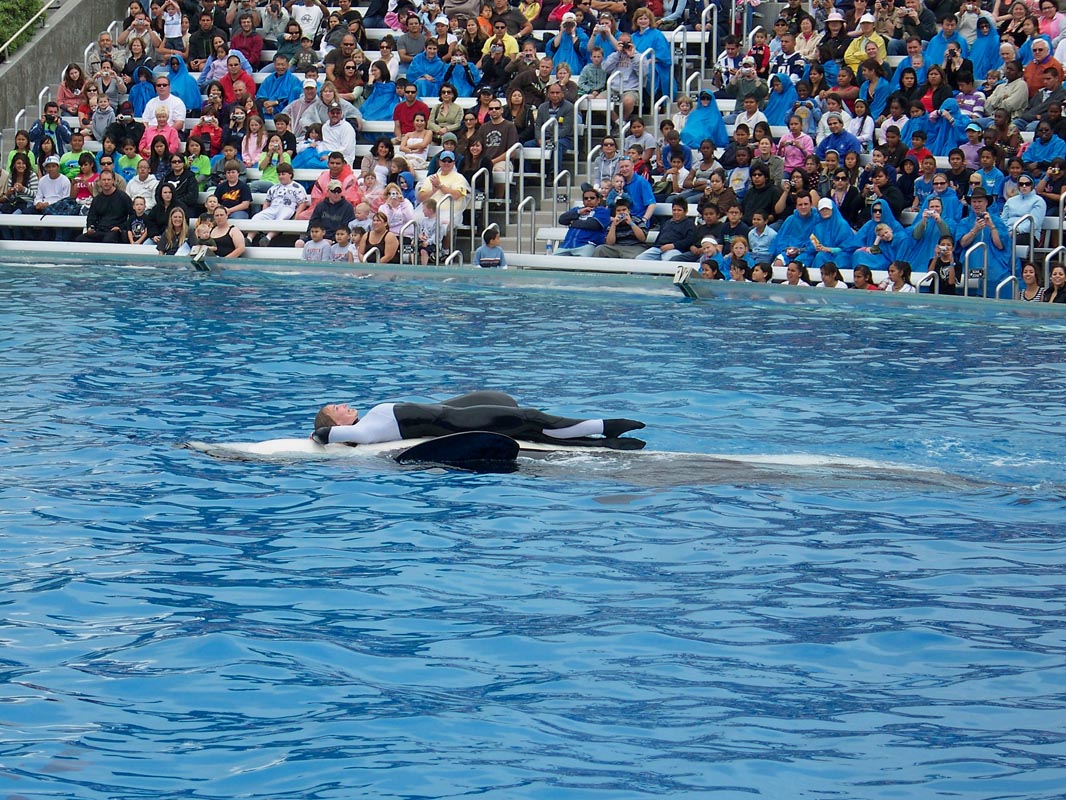 020 Seaworld Preston May 2008 290