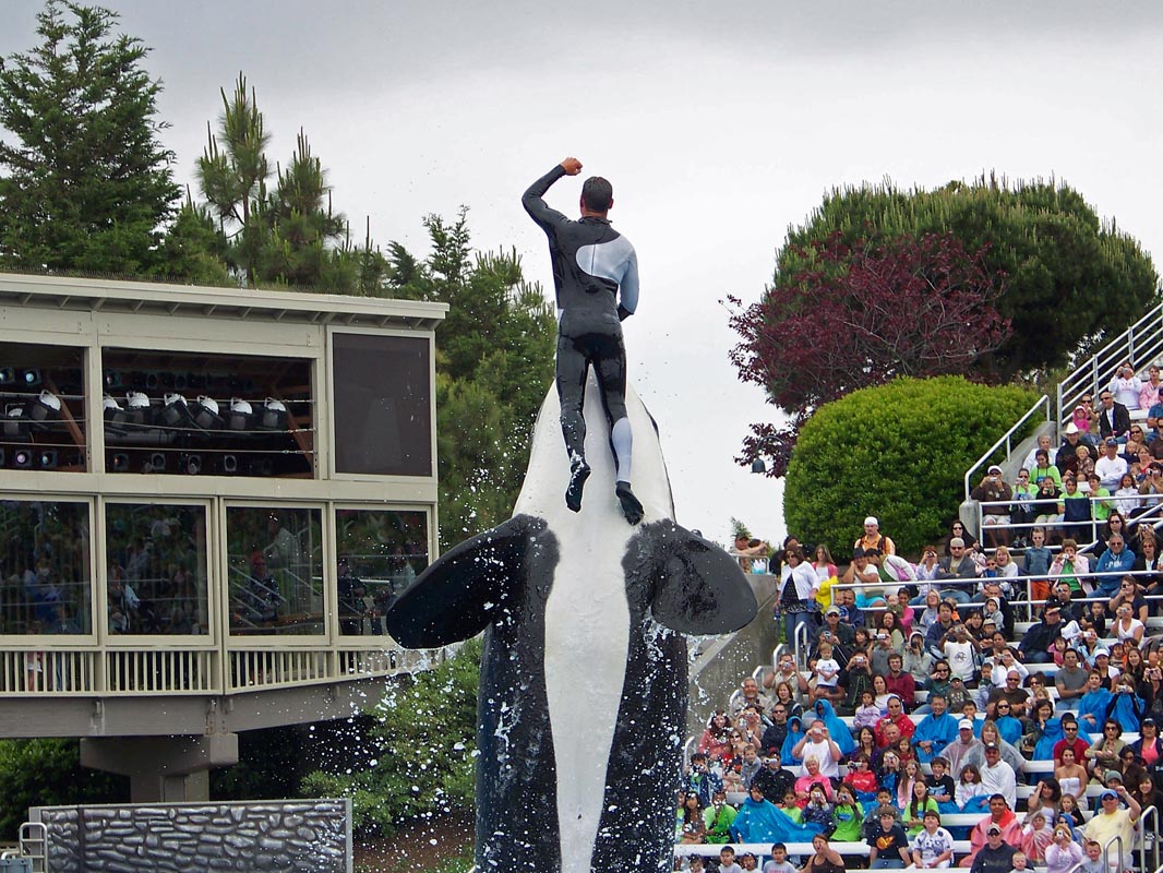 021 Seaworld Preston May 2008 272