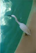 0003 SeaWorld-03