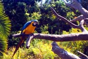 0006 SeaWorld-06