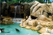 0007 SeaWorld-07